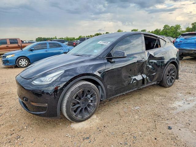 2021 TESLA MODEL  Y   
