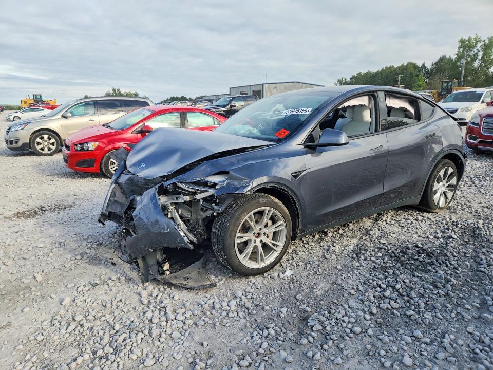 2021 TESLA MODEL Y   
