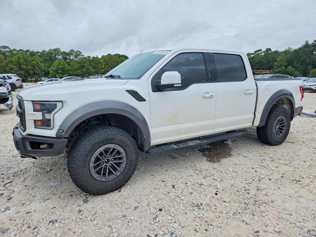 2019 FORD F150 RAPTOR  