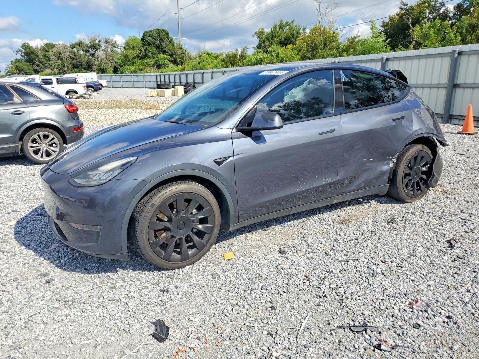 2021 TESLA MODEL Y   