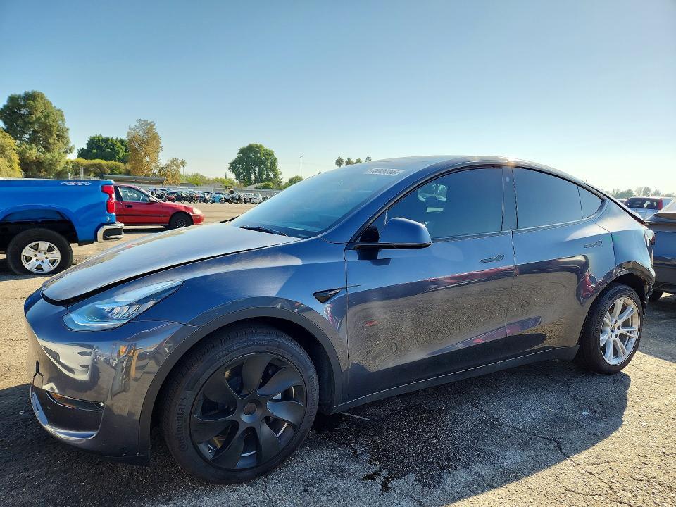 2023 TESLA MODEL  Y   