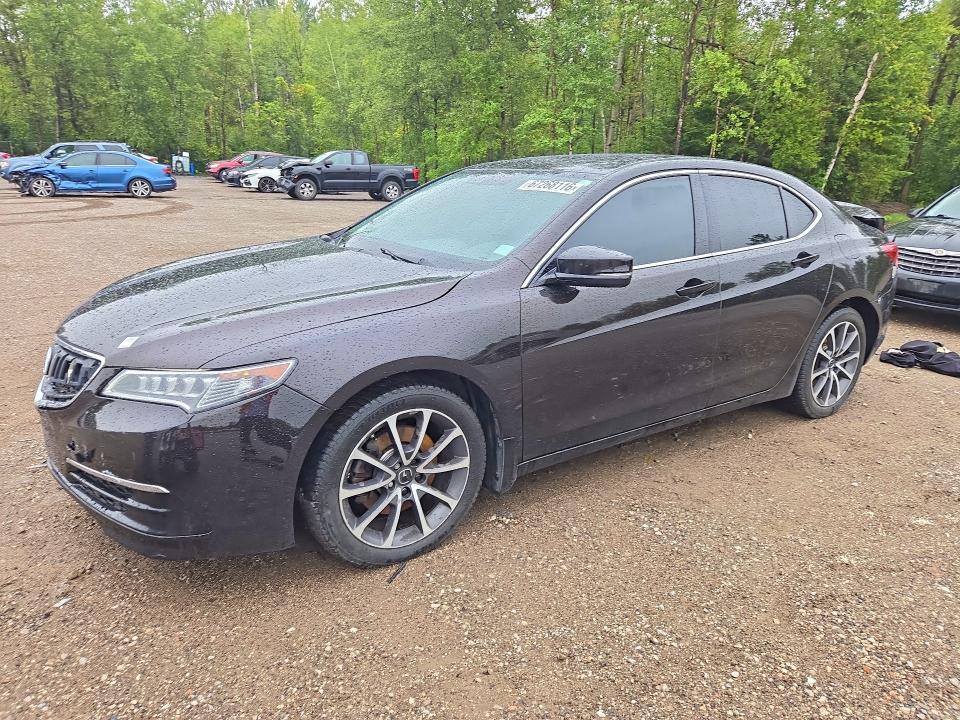 2015 ACURA TLX TECH  