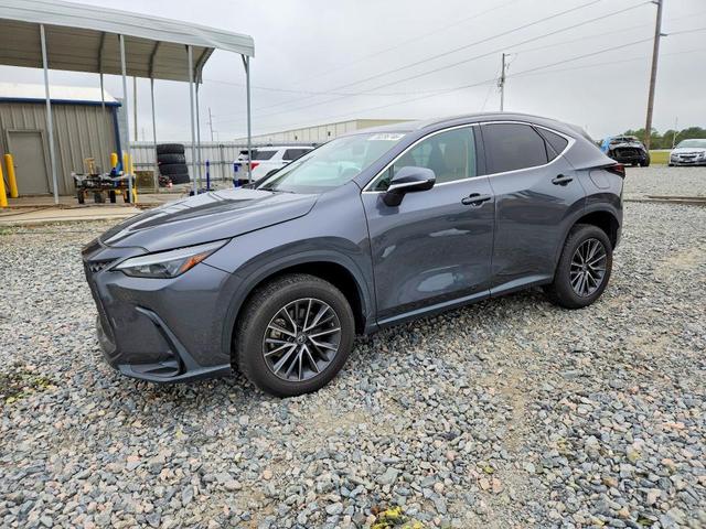 2023 LEXUS NX 250  