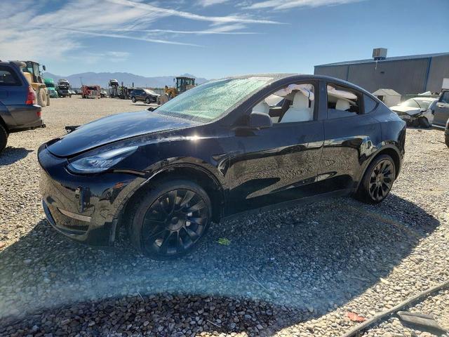 2021 TESLA MODEL Y   