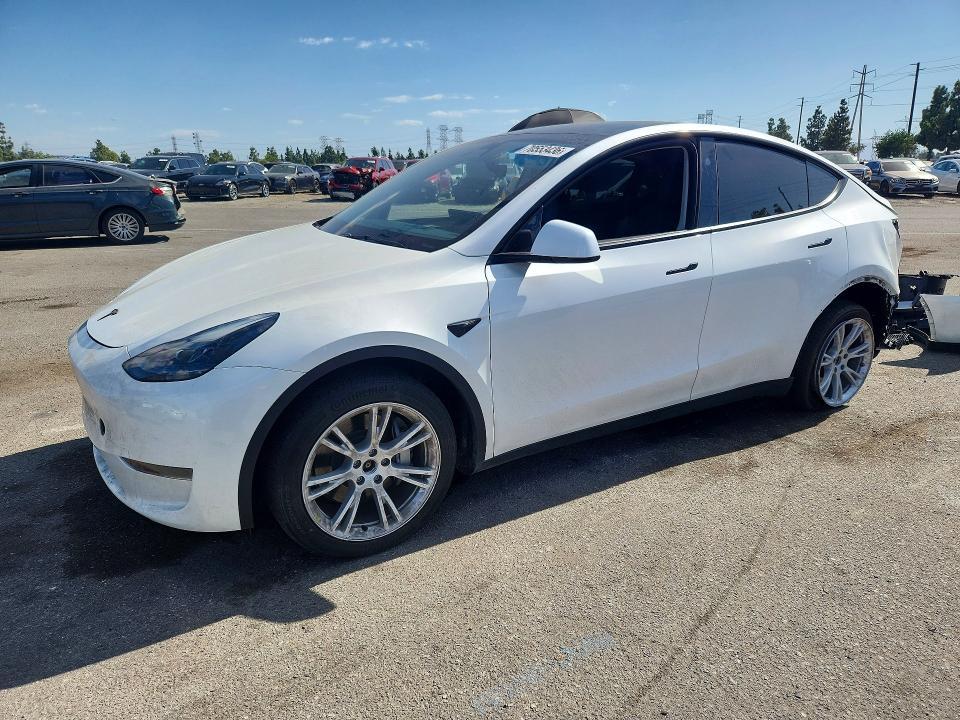2024 TESLA MODEL Y   
