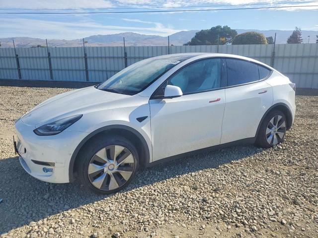 2021 TESLA MODEL Y   