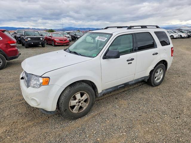 2011 FORD ESCAPE XLT  
