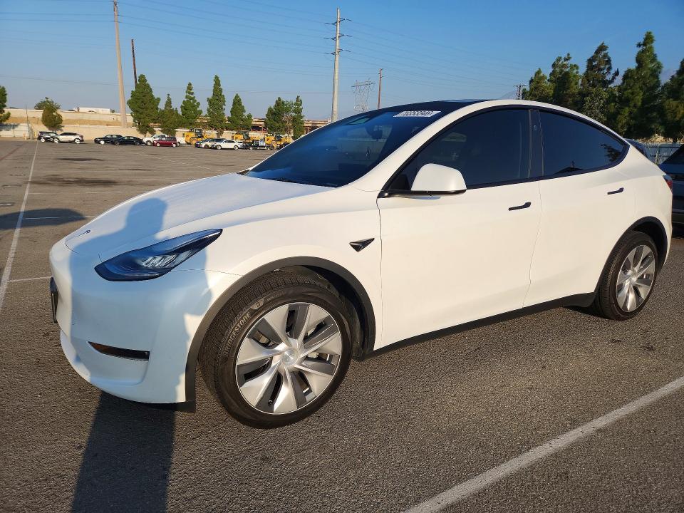 2023 TESLA MODEL Y   