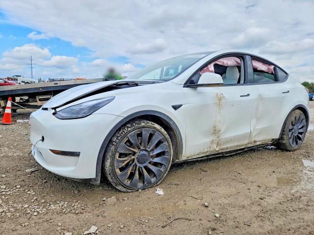 2025 TESLA MODEL Y   