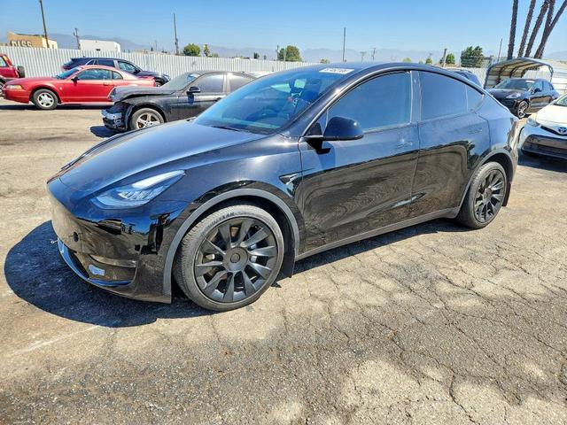 2021 TESLA MODEL Y   