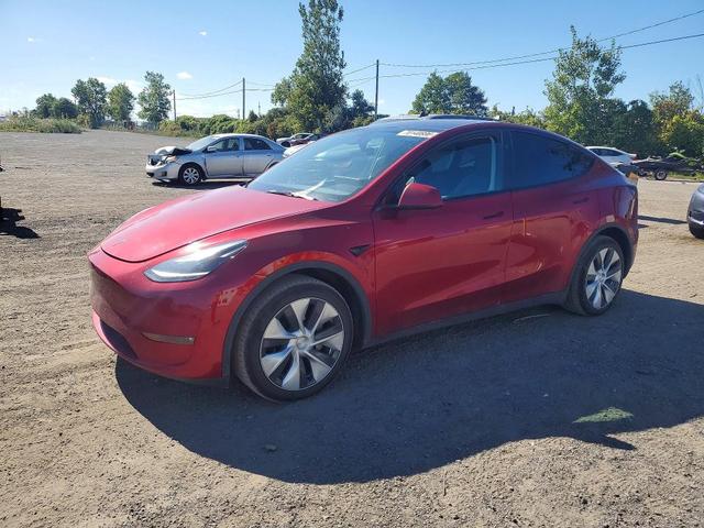 2024 TESLA MODEL Y   