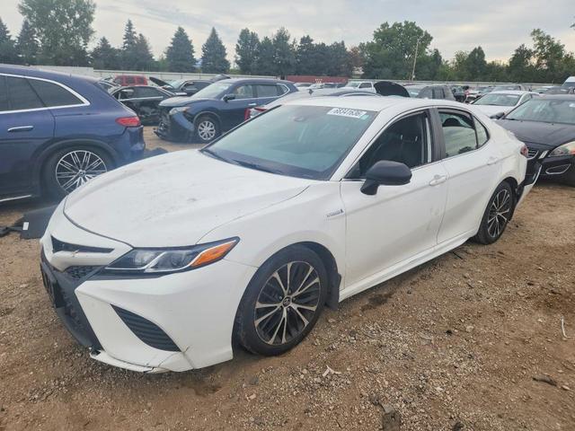 2019 TOYOTA CAMRY HYBRID SE  