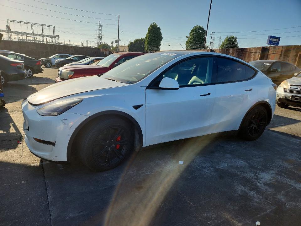 2021 TESLA MODEL Y   