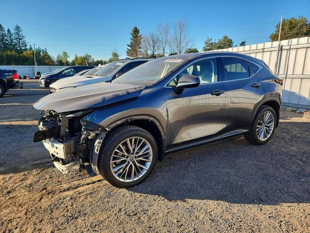 2022 LEXUS NX 350  
