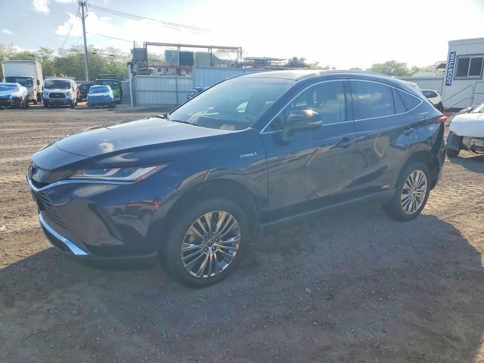 2021 TOYOTA VENZA  XLE