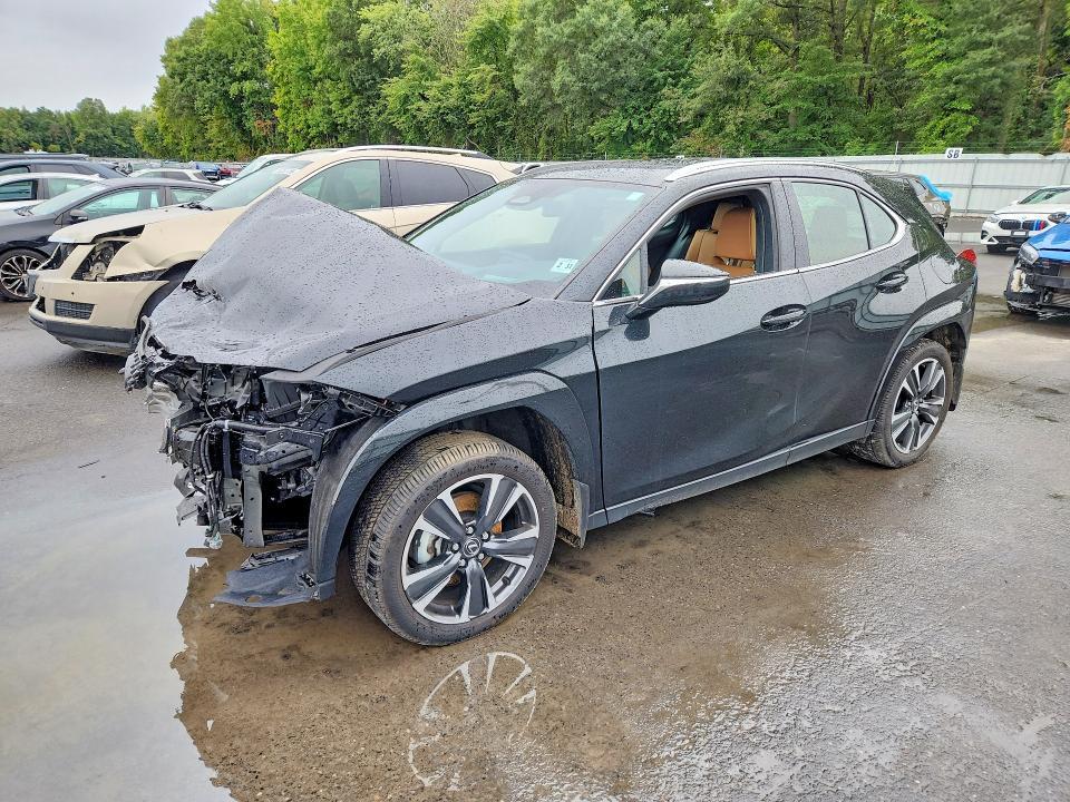 2025 LEXUS UX 300H PREMIUM  