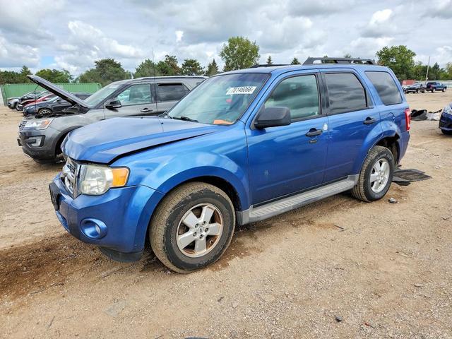 2010 FORD ESCAPE XLT  