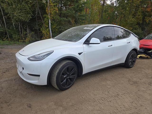 2020 TESLA MODEL Y