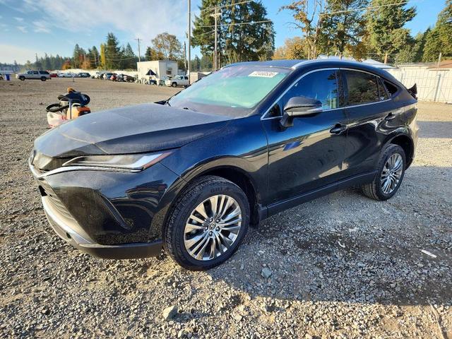 2024 TOYOTA VENZA XLE  