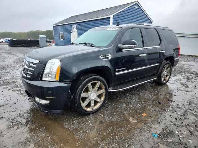 2011 CADILLAC ESCALADE
