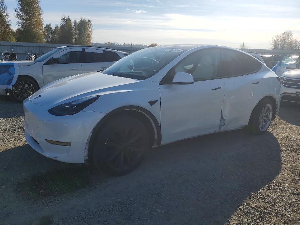 2024 TESLA MODEL Y   