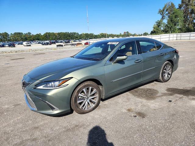 2019 LEXUS ES 350  