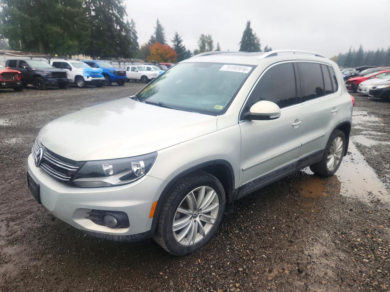 Вид 2015 VOLKSWAGEN TIGUAN S, угол 1