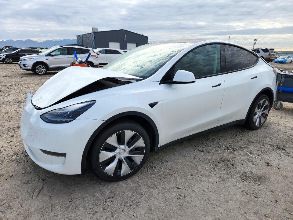 2023 TESLA MODEL Y   