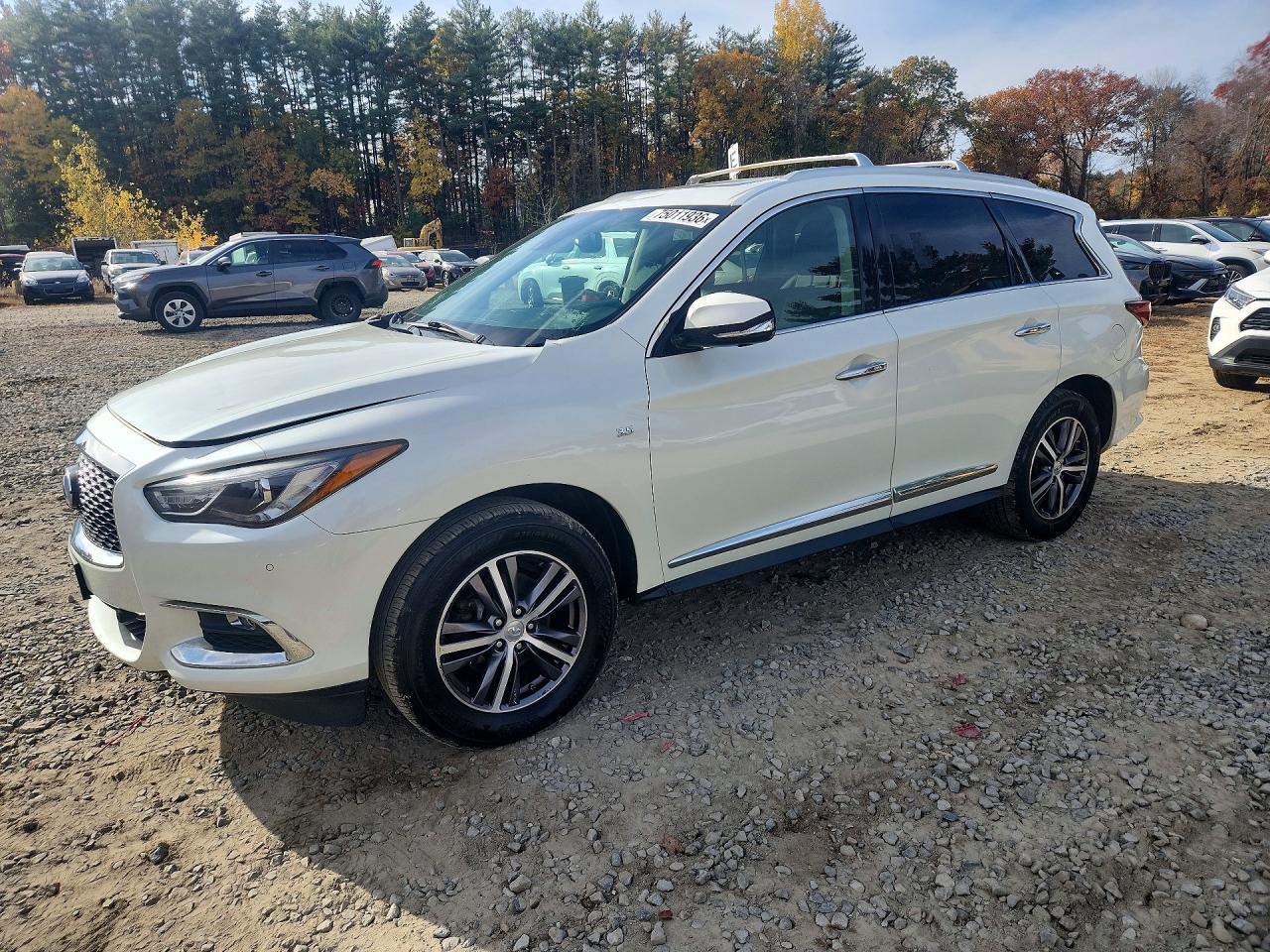 Vista de 2019 INFINITI QX60 LUXE, ángulo 1