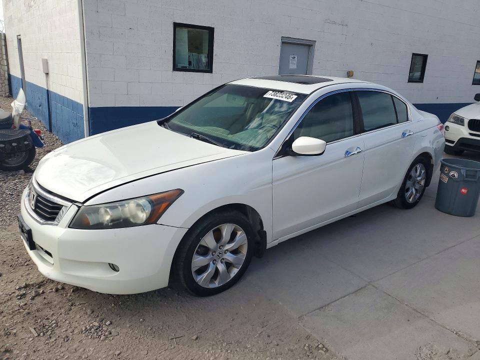 2009 HONDA ACCORD EXL  