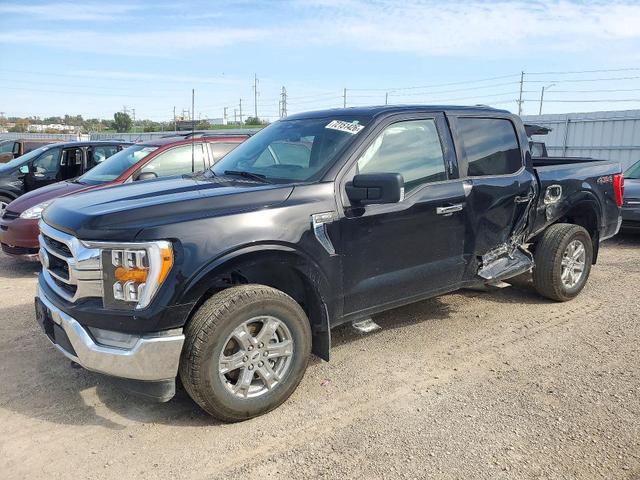 2023 FORD F150 SUPERCREW  