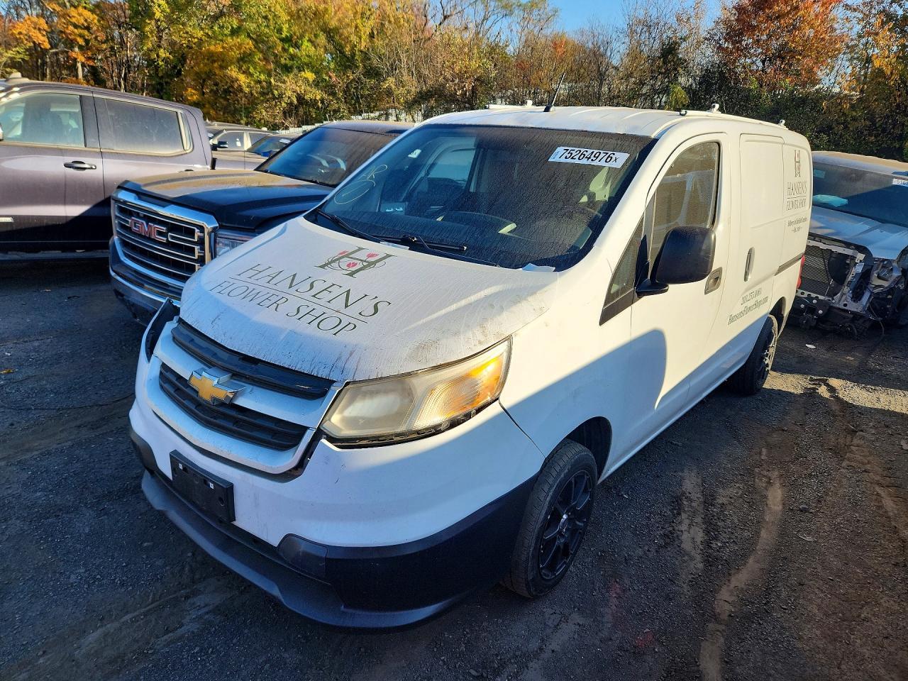 Вид 2015 CHEVROLET EXPRESS LS, угол 1