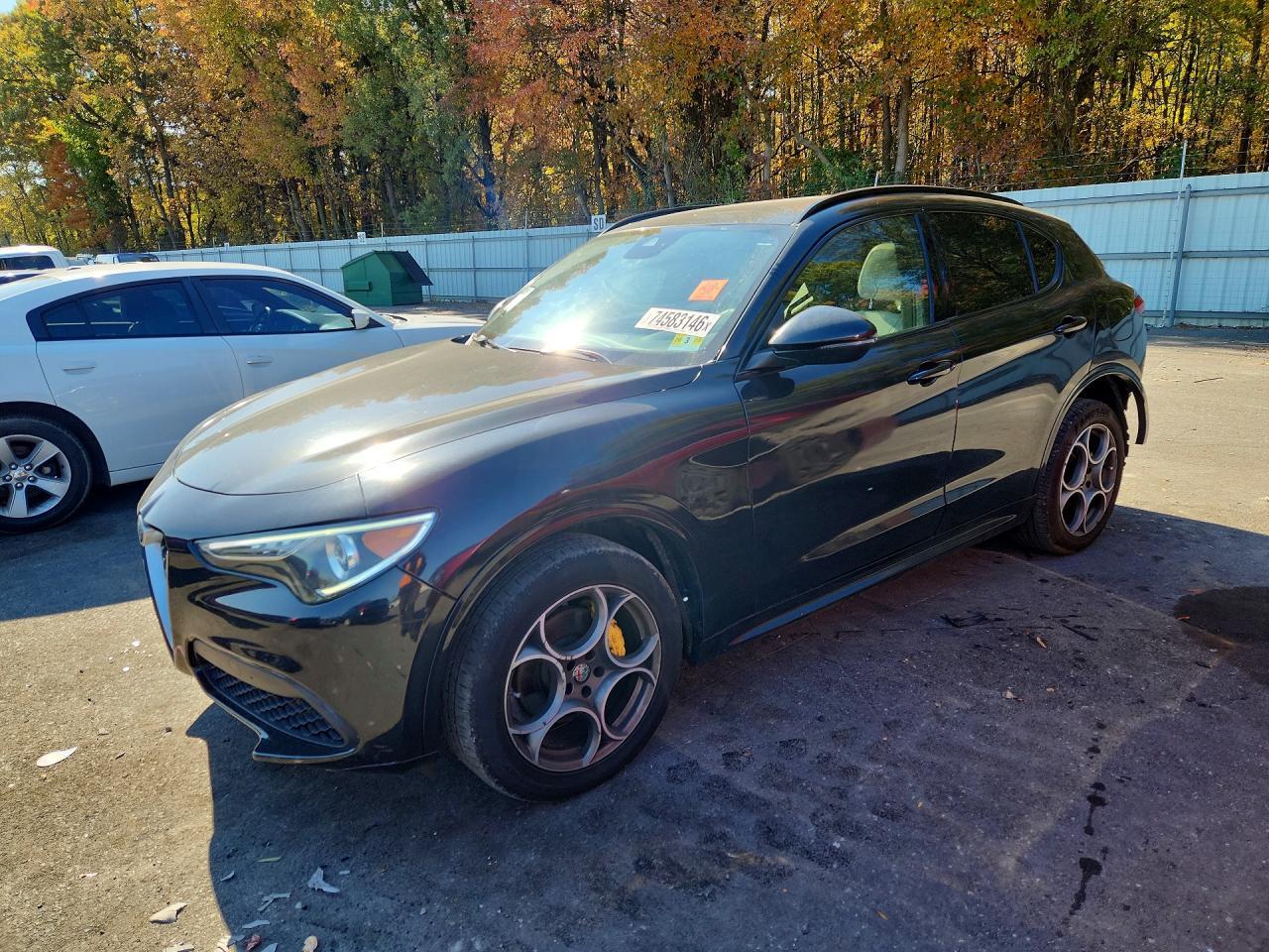 Vedere 2020 ALFA ROMEO STELVIO, unghi 1