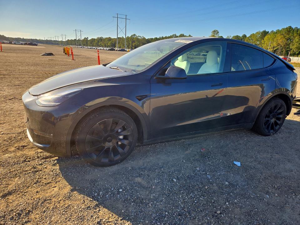 2024 TESLA MODEL Y   