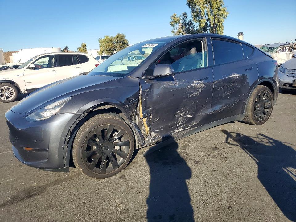 2021 TESLA MODEL Y   