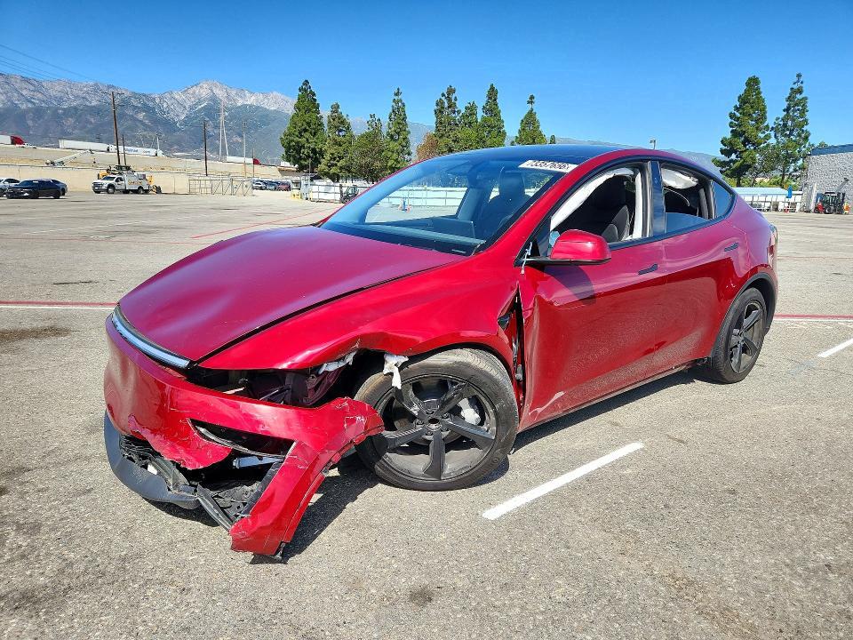 2026 TESLA MODEL Y   
