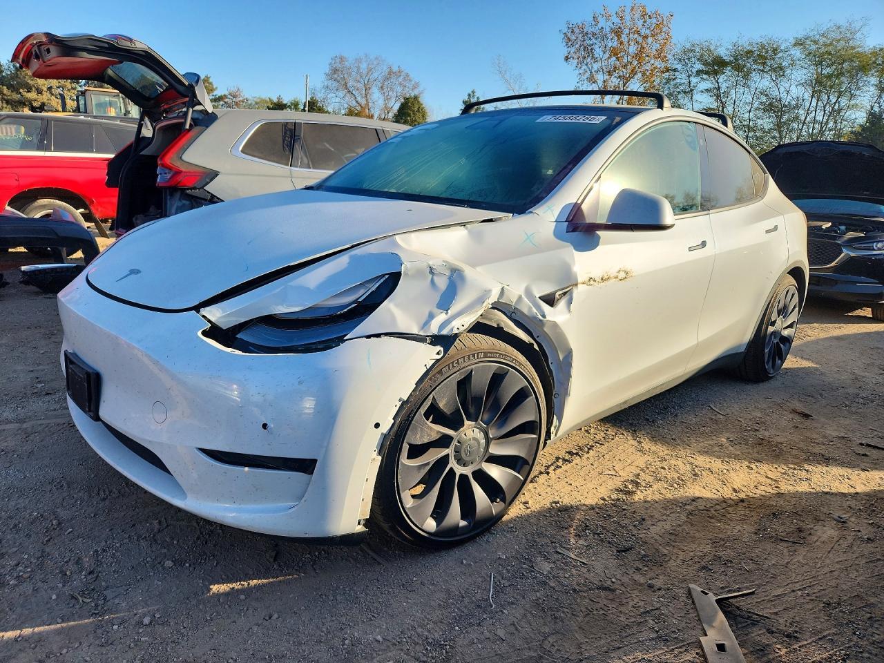 Вид 2021 TESLA MODEL Y, угол 1