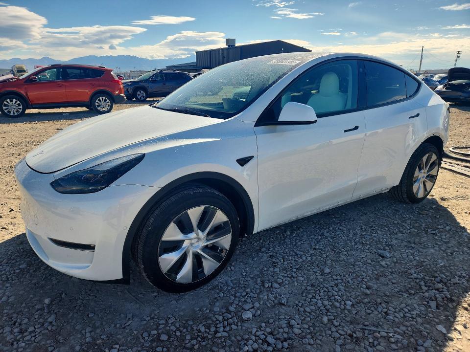 2022 TESLA MODEL Y   