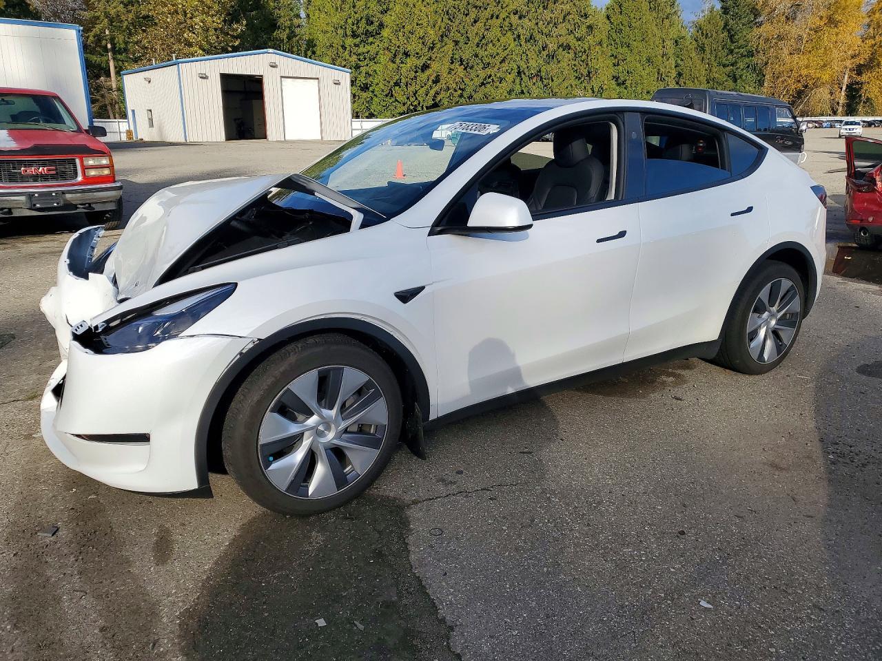 2024 TESLA MODEL Y view, angle 1