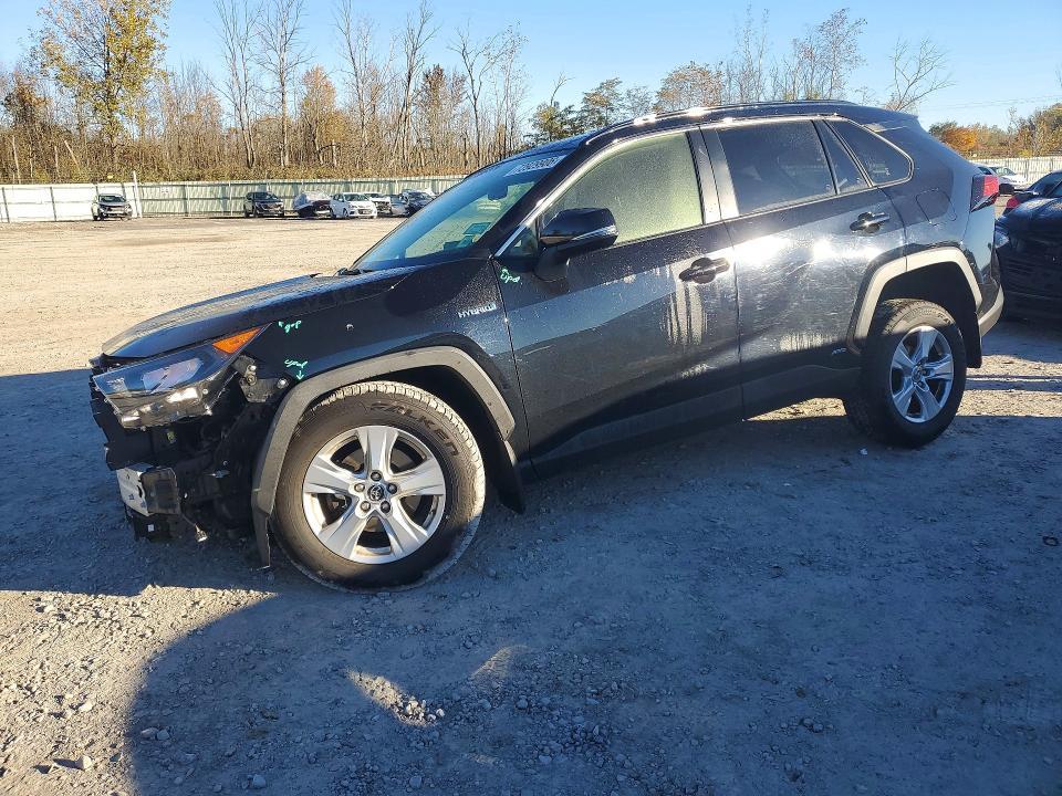 2019 TOYOTA RAV4 LE  