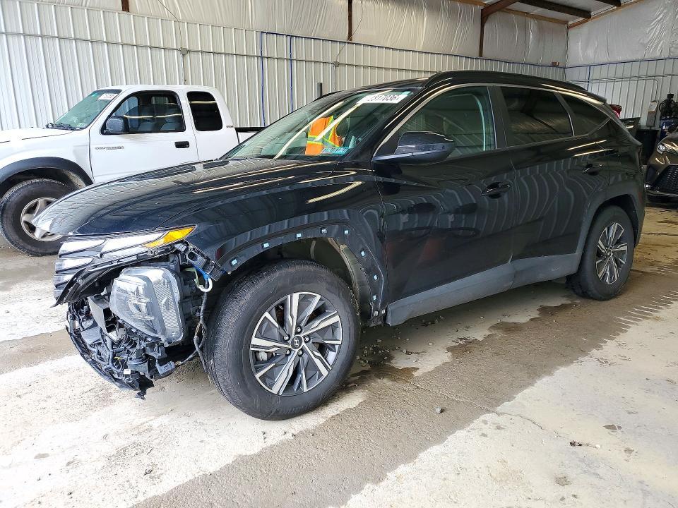 2024 HYUNDAI TUCSON BLUE  