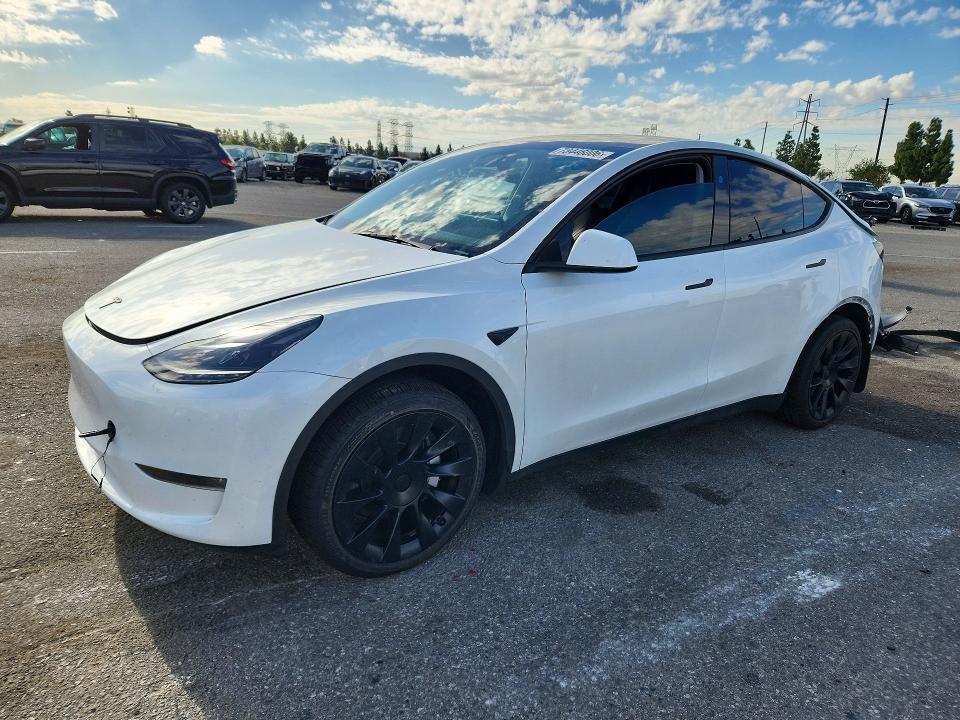 2024 TESLA MODEL Y   