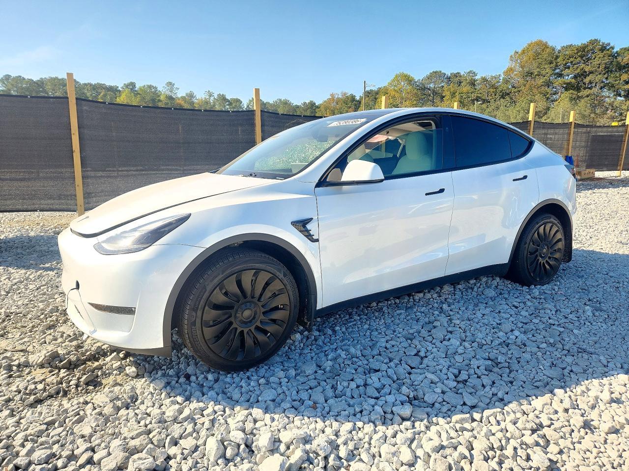 منظر 2024 TESLA MODEL Y، زاوية 1
