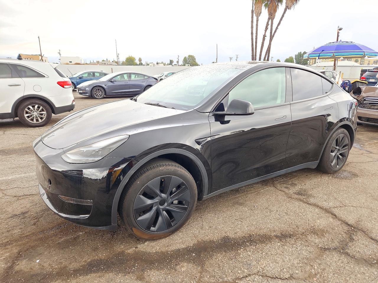 منظر 2024 TESLA MODEL Y، زاوية 1