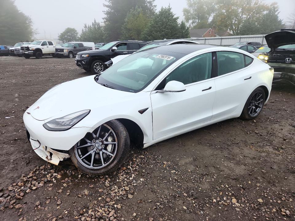 2019 TESLA MODEL 3   