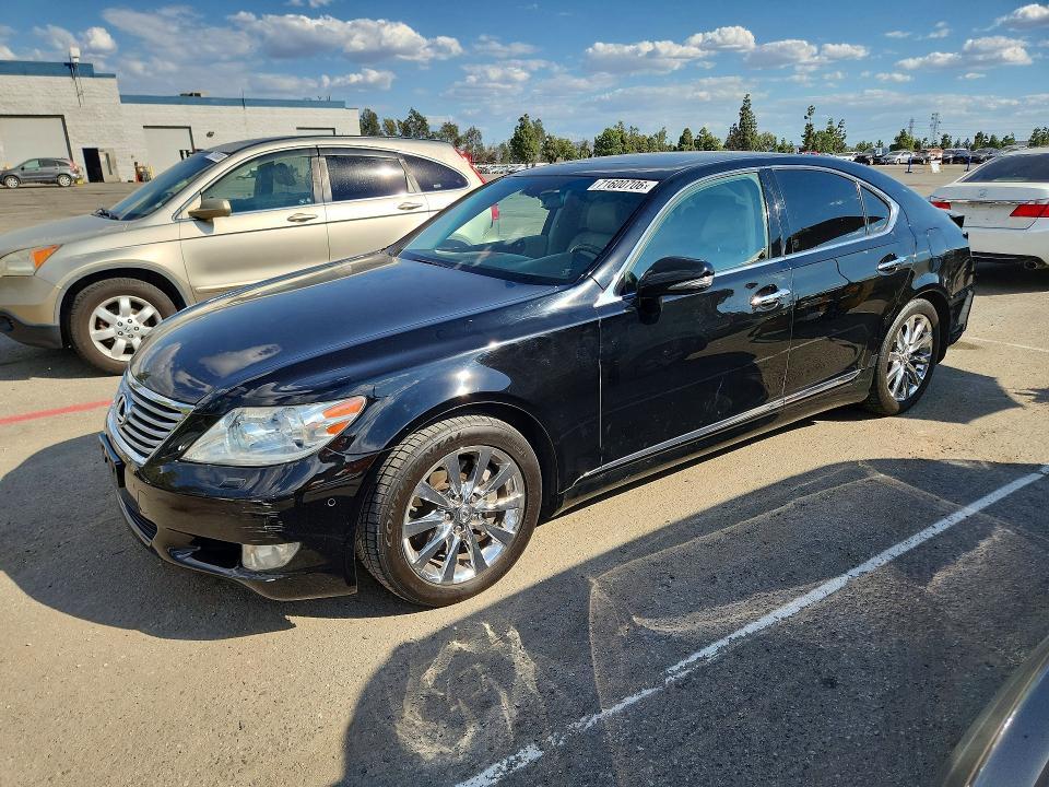 2010 LEXUS LS 460  