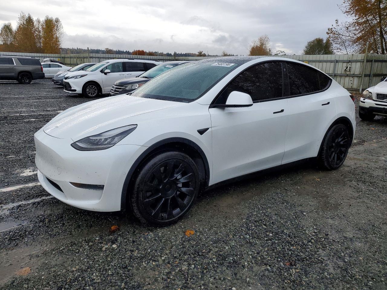 Вид 2020 TESLA MODEL Y, угол 1