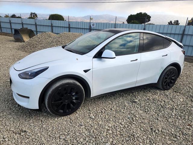 2024 TESLA MODEL Y   