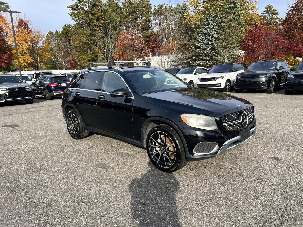 Вид 2016 MERCEDES-BENZ GLC 300, угол 1
