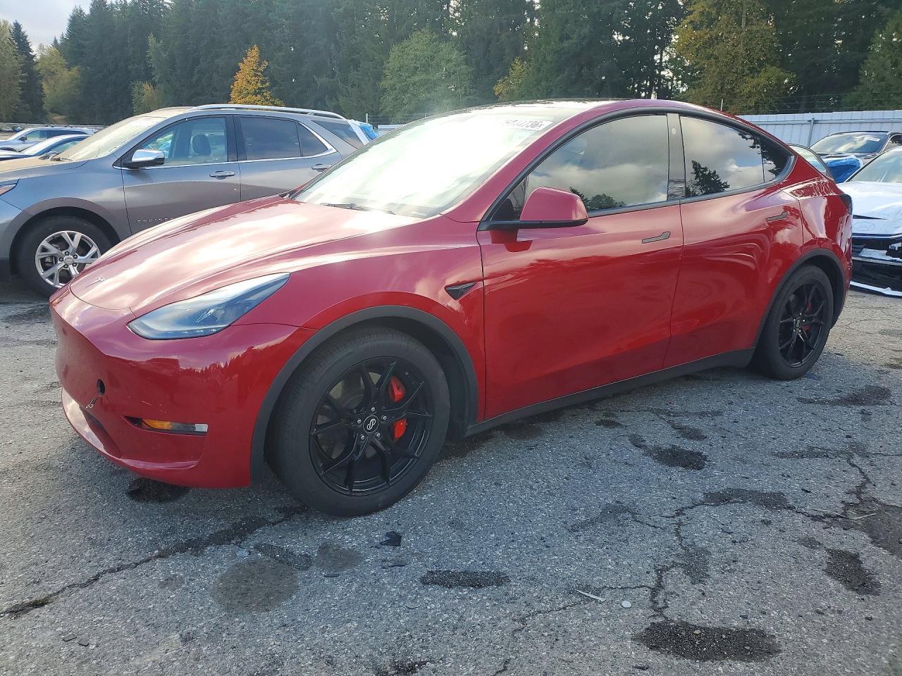 منظر 2022 TESLA MODEL Y، زاوية 1